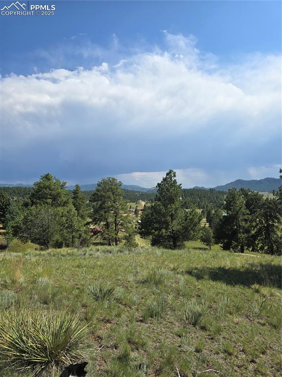 Image 27 of 29: Aerial View