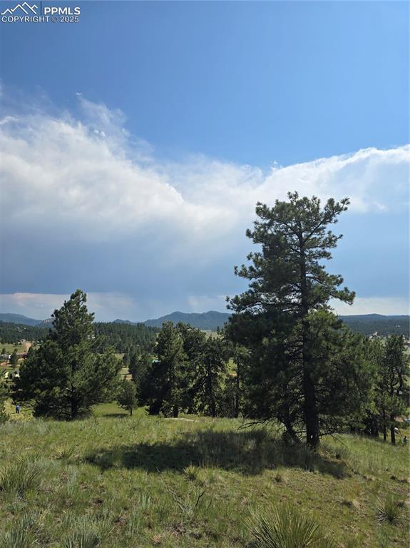 Image 28 of 29: View