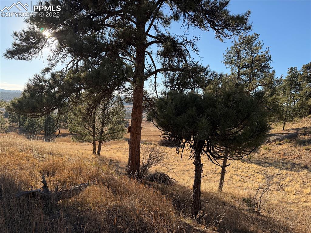 Image 3 of 29: Other