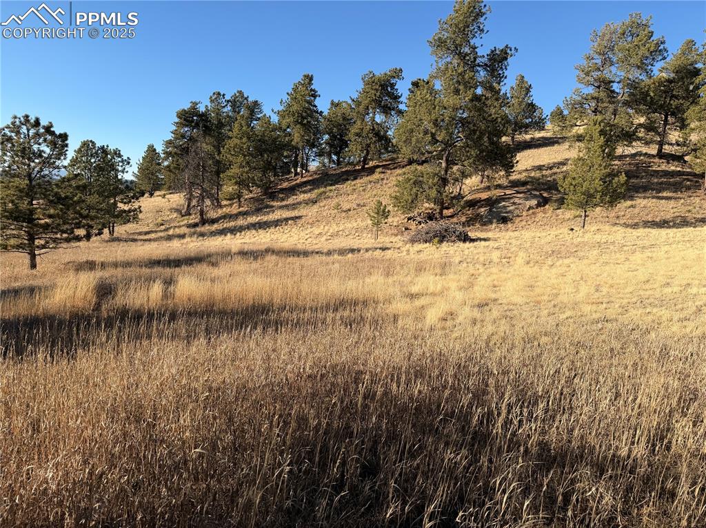 Image 4 of 29: Other