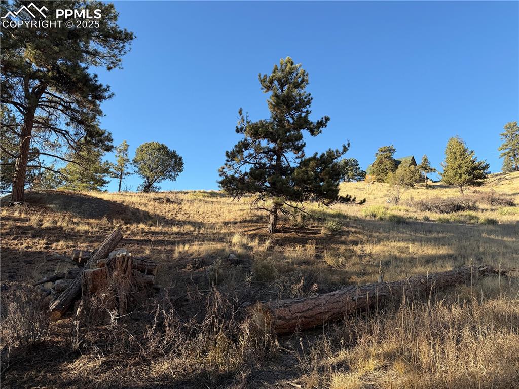 Image 6 of 29: Other