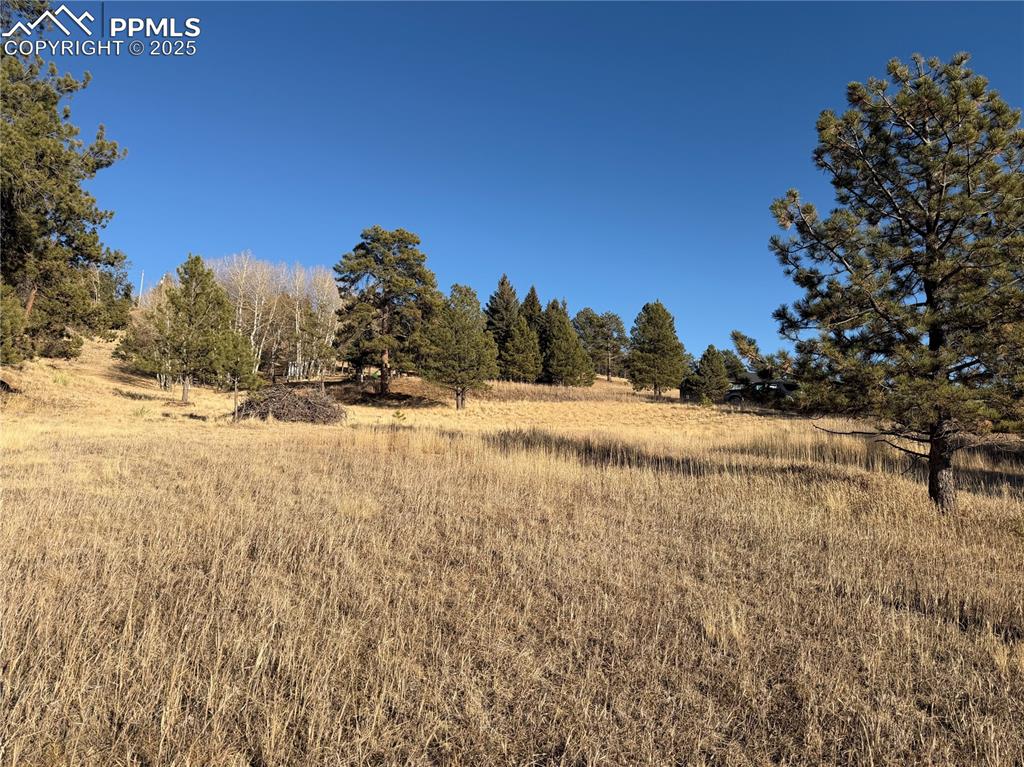 Image 7 of 29: Other