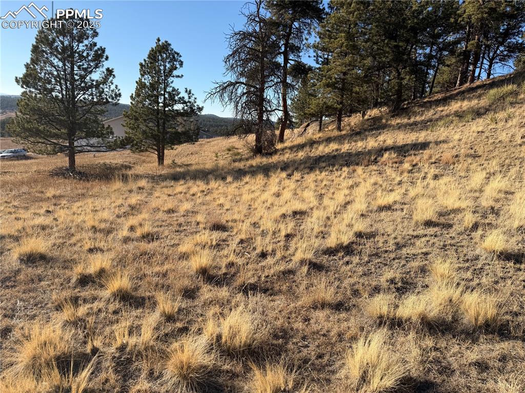 Image 9 of 29: Other