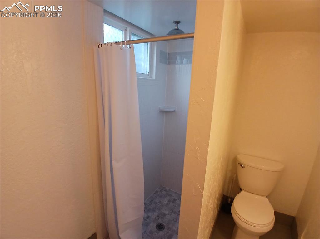 Image 46 of 49: Basement bathroom featuring a stand up shower.