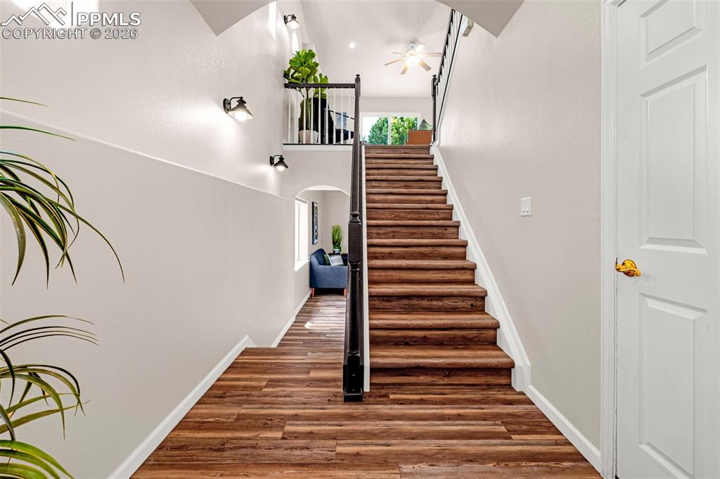 Image 2 of 40: Other