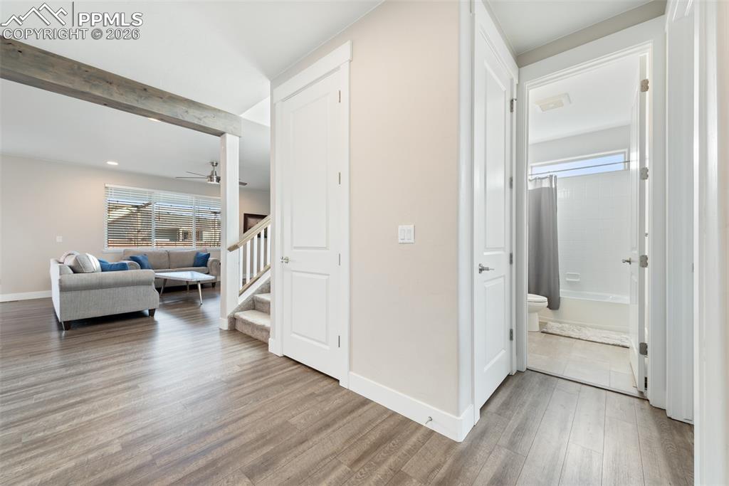 Image 9 of 50: Other