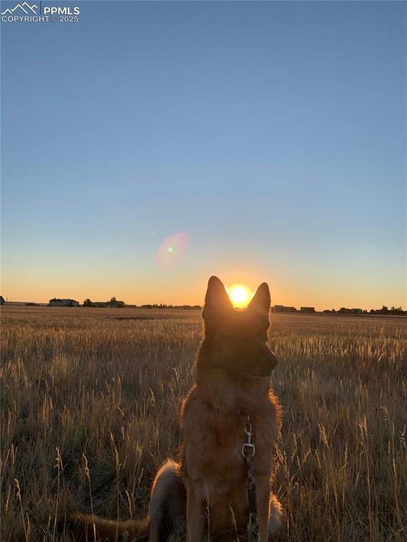 Image 6 of 6: View of nature at dusk
