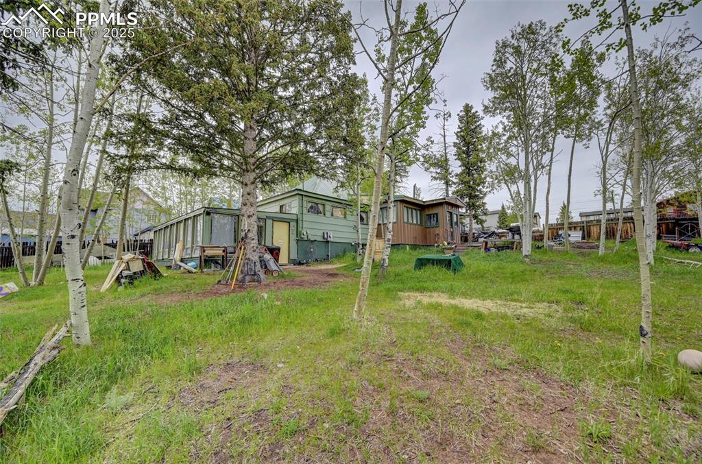 Image 6 of 17: Yard