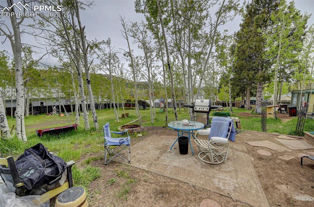Image 8 of 17: Yard