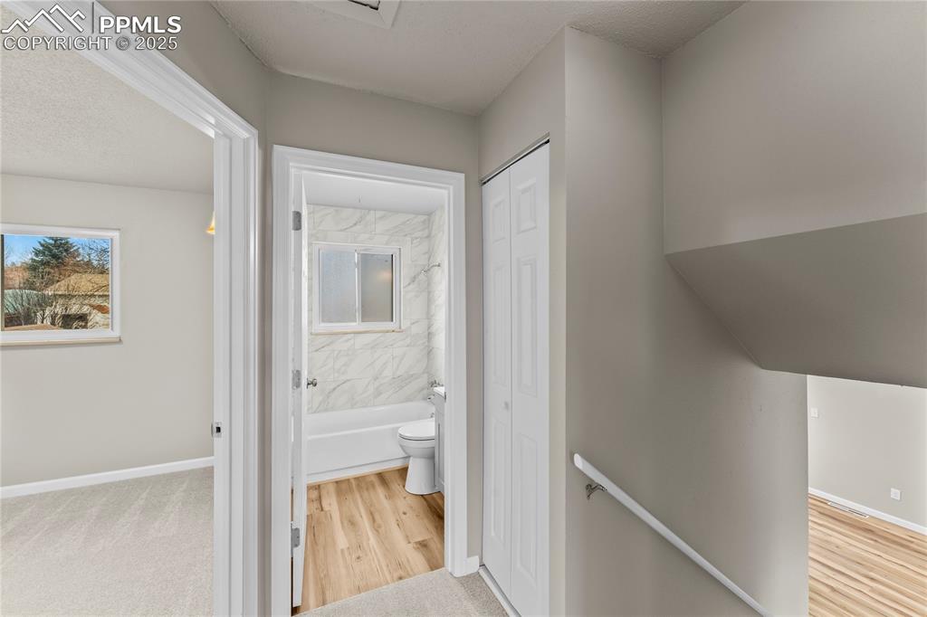 Image 13 of 29: Other