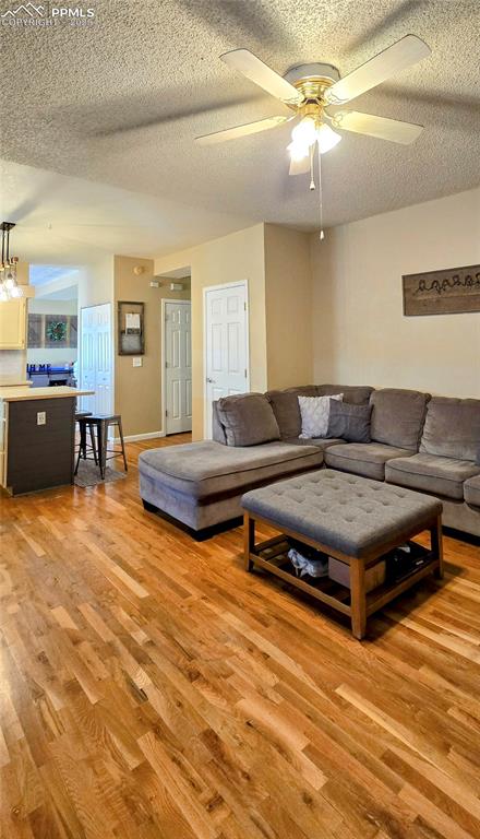 Image 20 of 48: Living room featuring a textured ceiling, light wood finished floors, and a