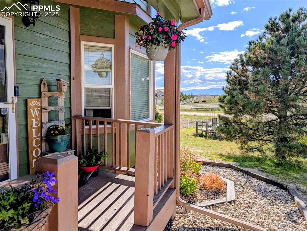 Image 4 of 48: Other