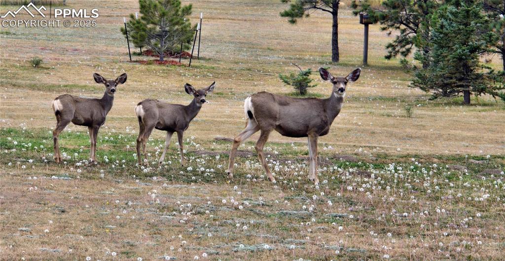 Image 41 of 48: Exterior view