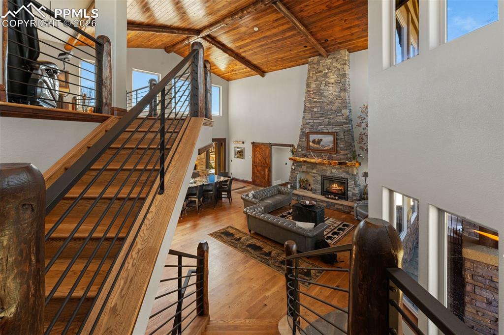 Image 3 of 50: Other