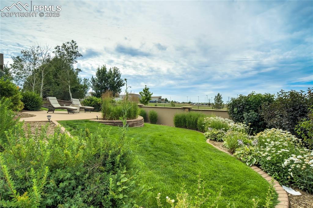 Image 45 of 50: Yard