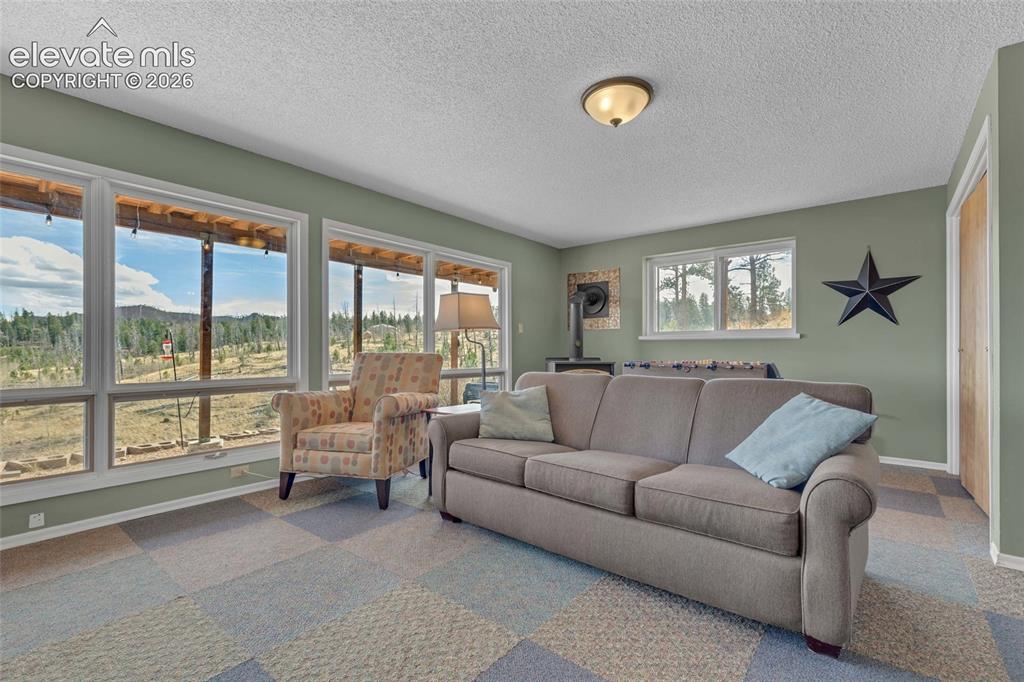 Image 14 of 22: Family Room