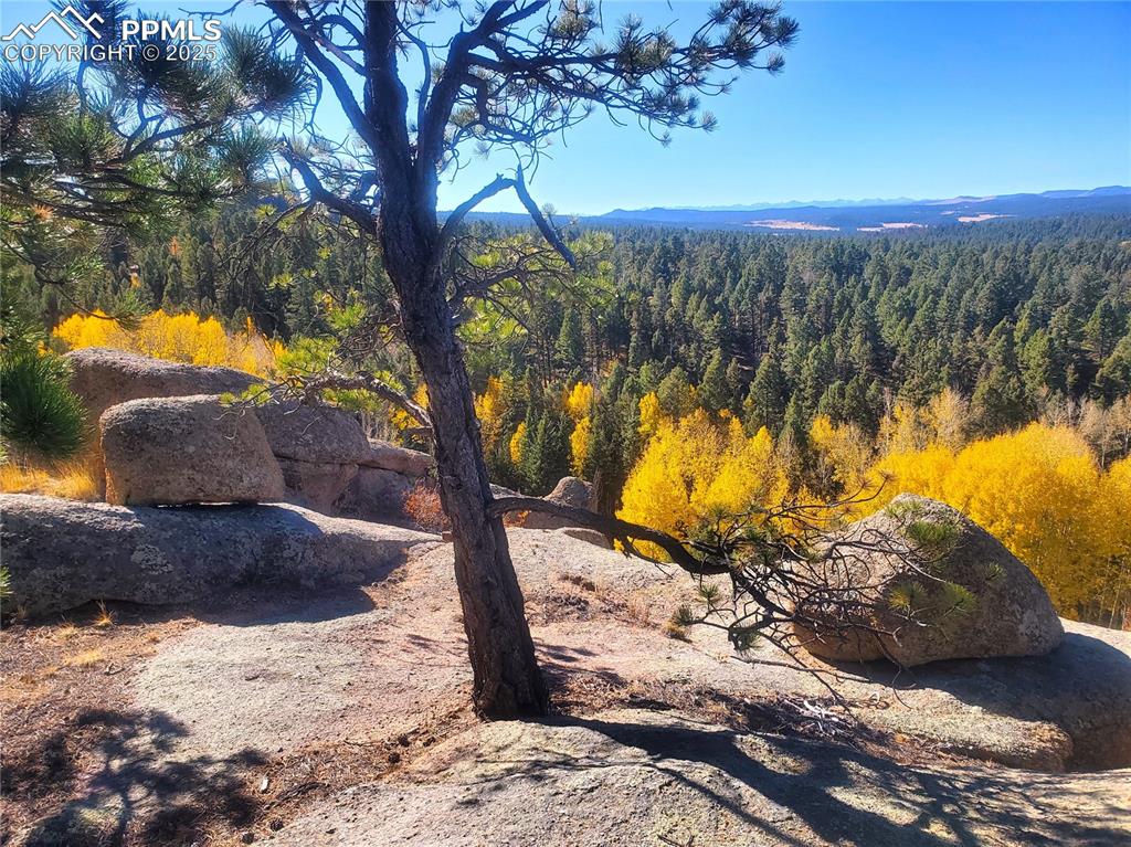 Image 13 of 50: View from trail on mountain above house