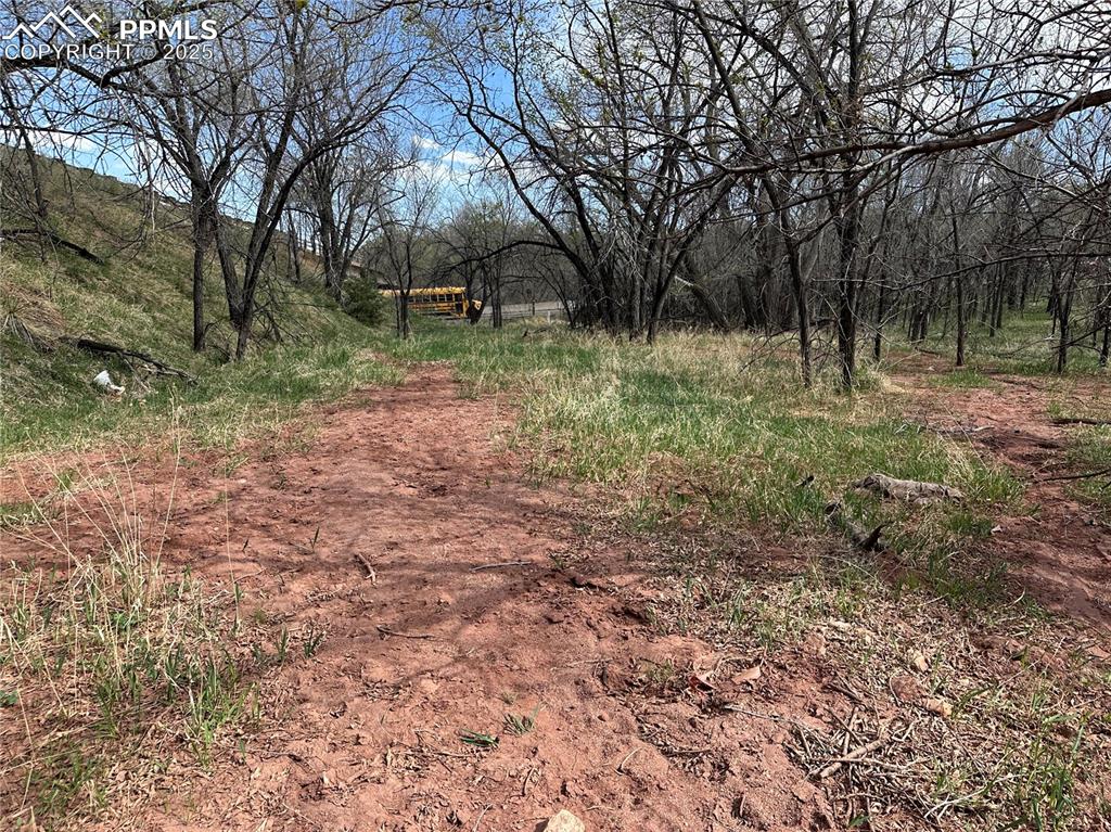 Image 10 of 32: View of nature