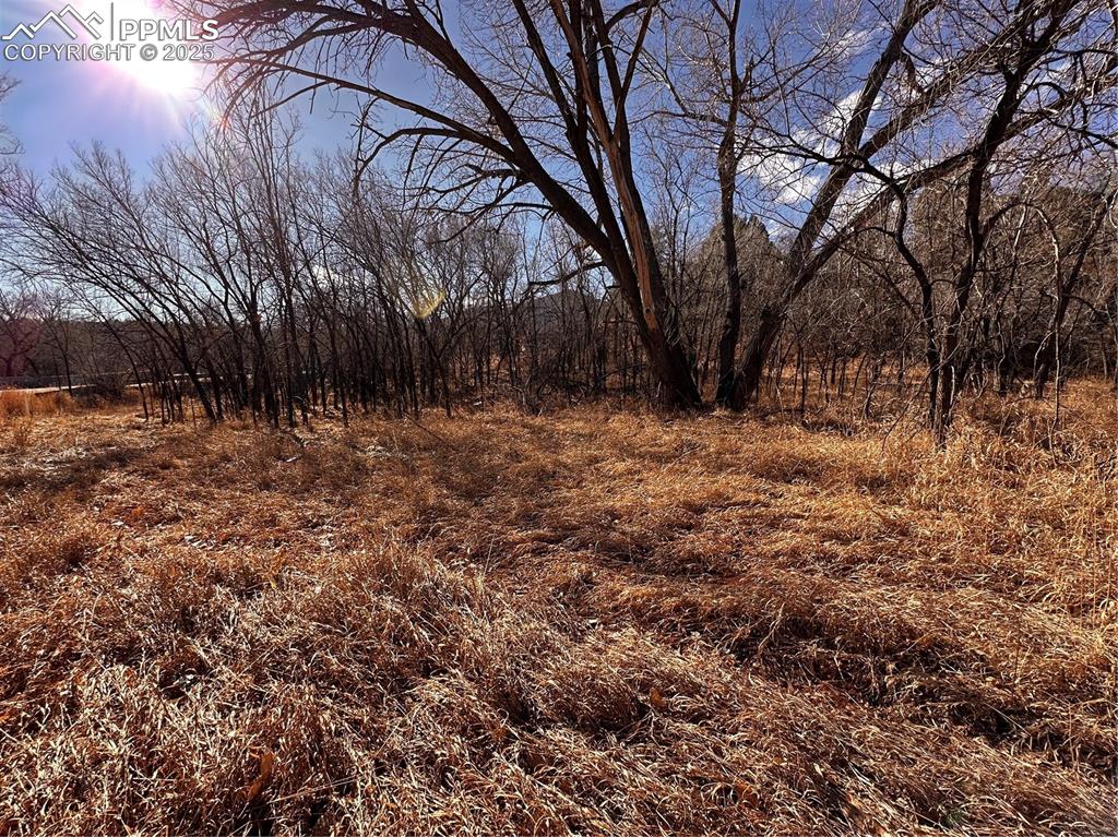 Image 28 of 32: No Description Available