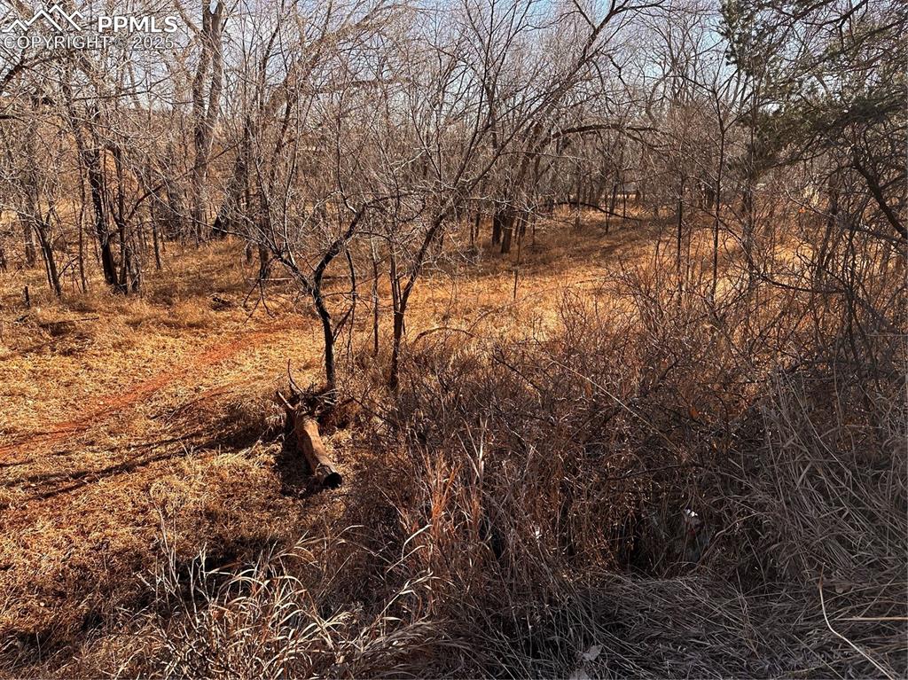 Image 30 of 32: No Description Available