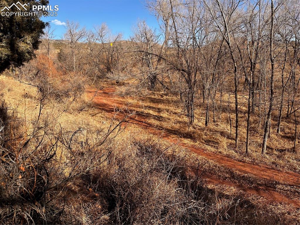 Image 31 of 32: No Description Available