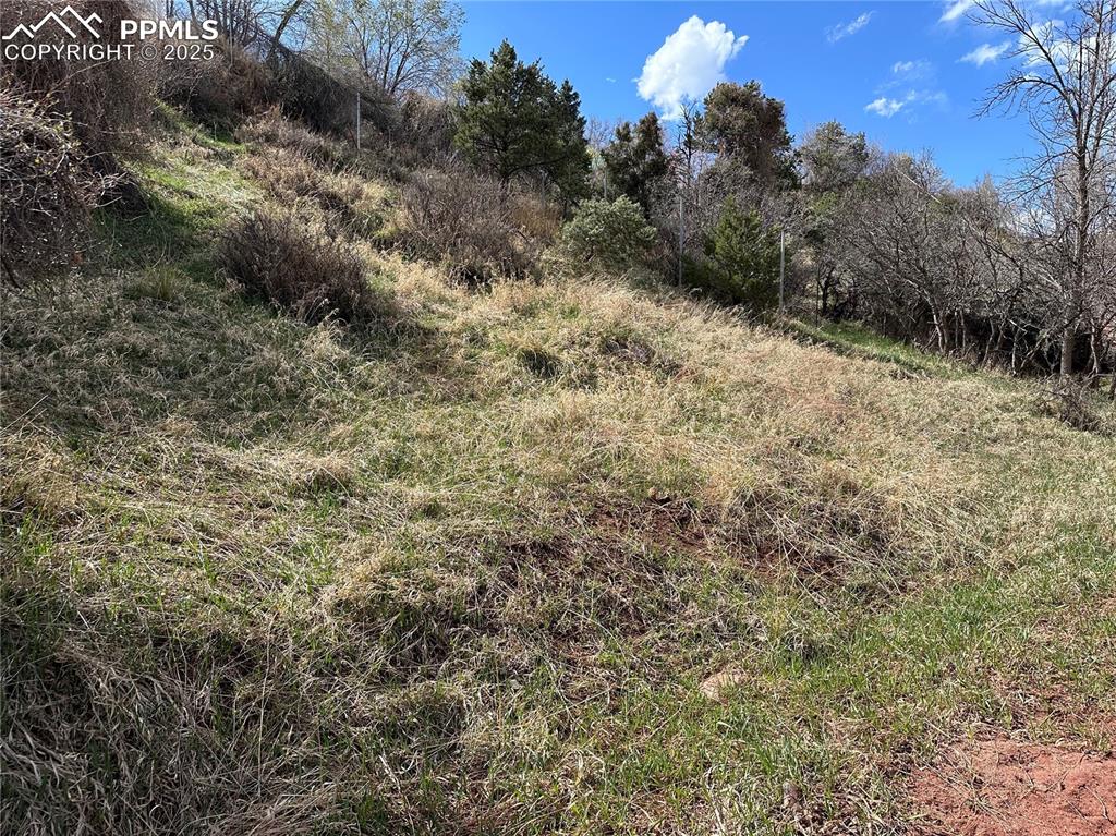 Image 6 of 32: Other