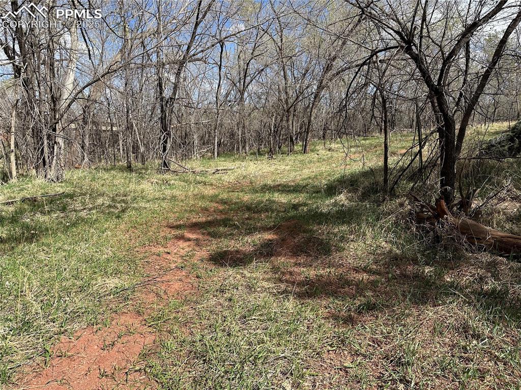 Image 8 of 32: Other