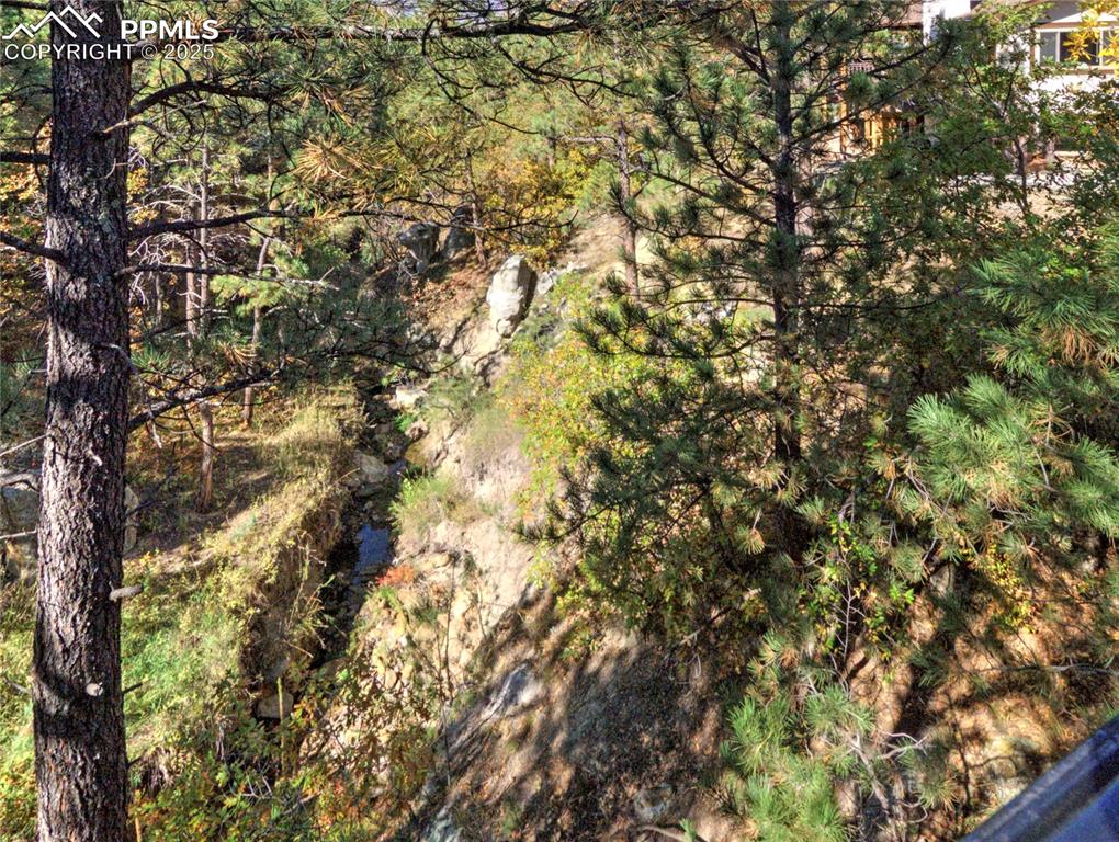 Image 36 of 41: Exterior view of a heavily wooded area