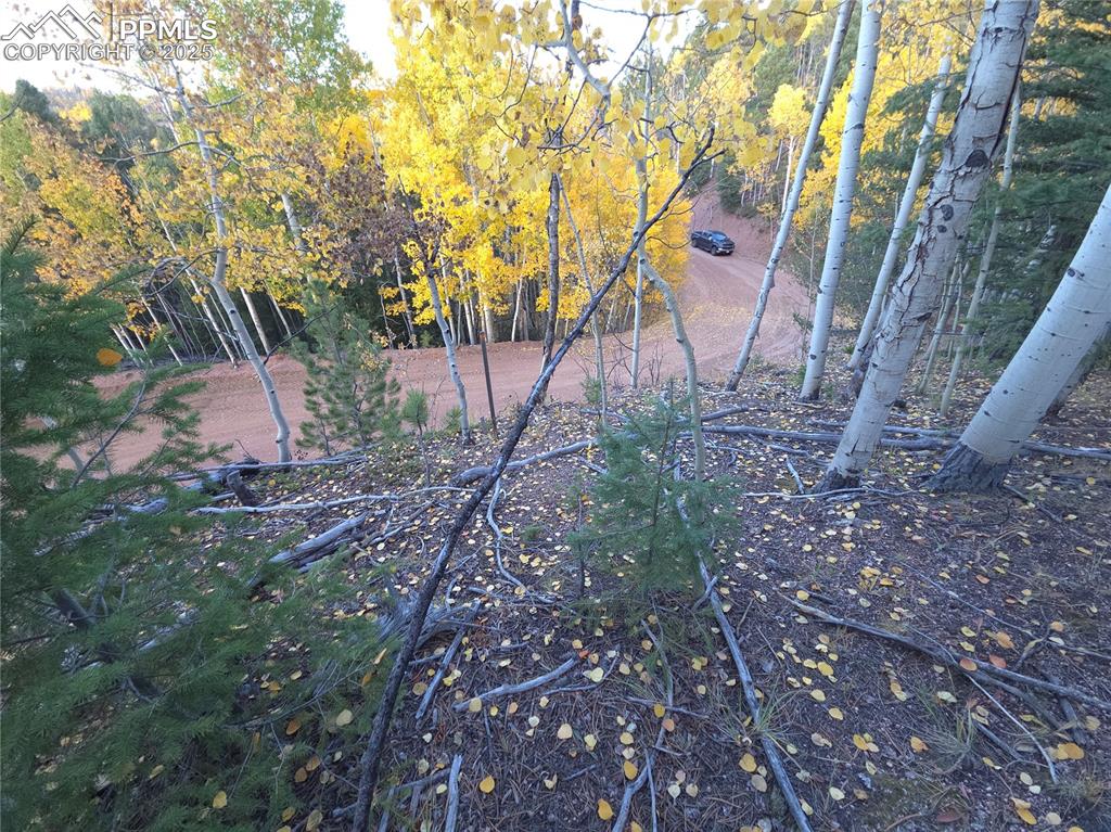 Image 12 of 31: View of undeveloped land
