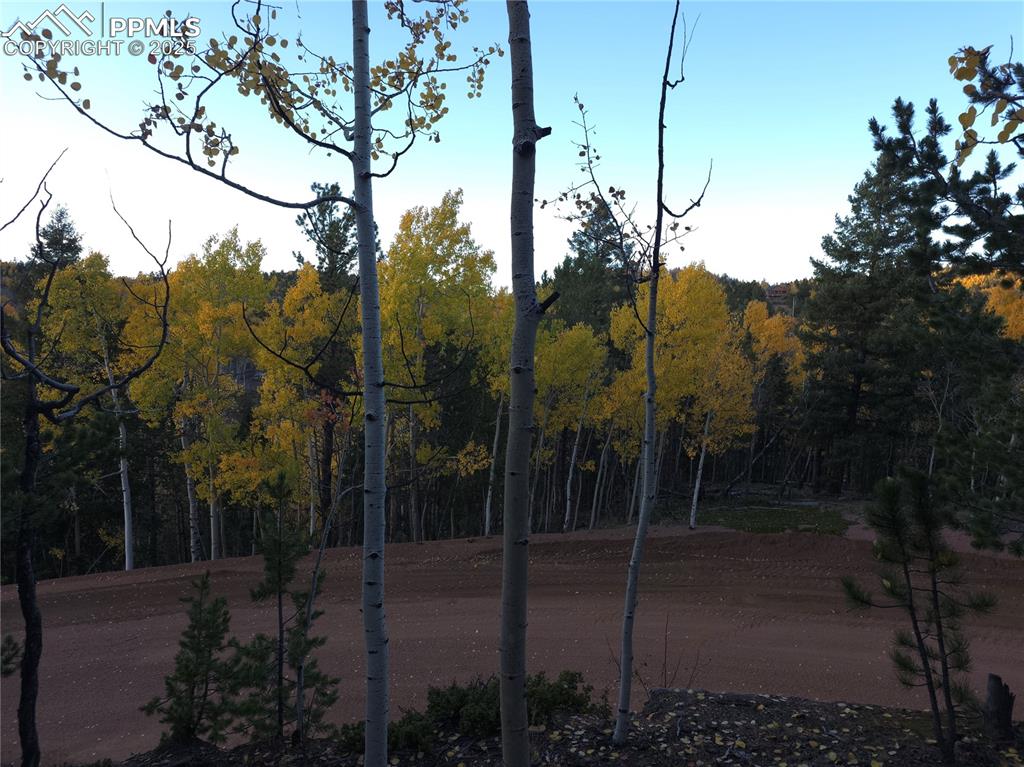 Image 14 of 31: View of yard featuring a wooded view