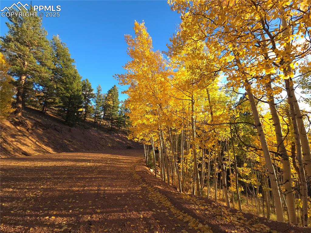 Image 16 of 31: View of dirt / gravel road