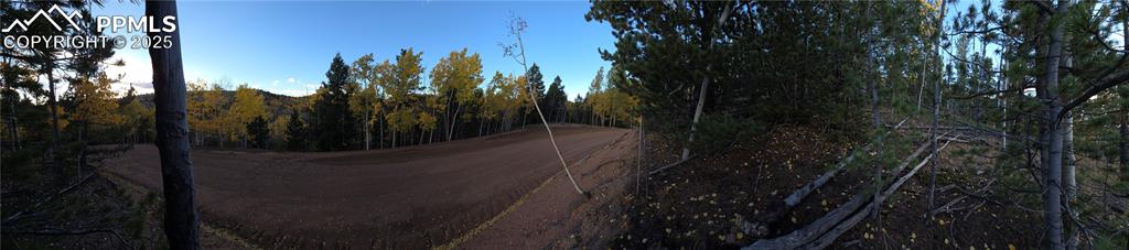 Image 17 of 31: View of asphalt street with a wooded view