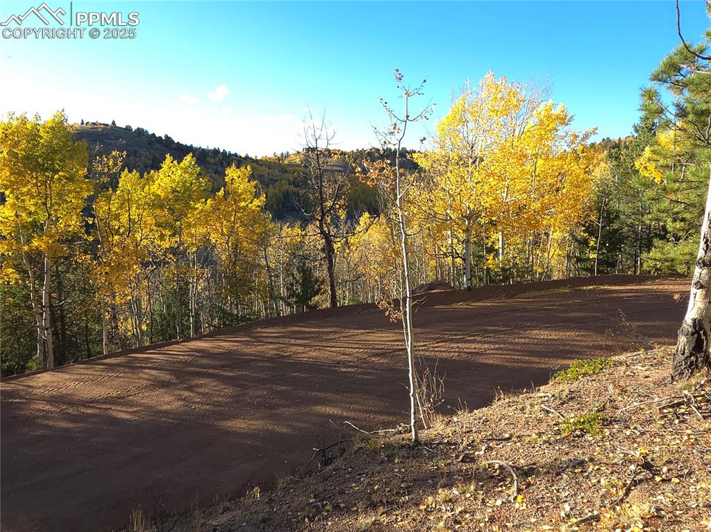 Image 21 of 31: View of dirt / gravel road featuring a forest view