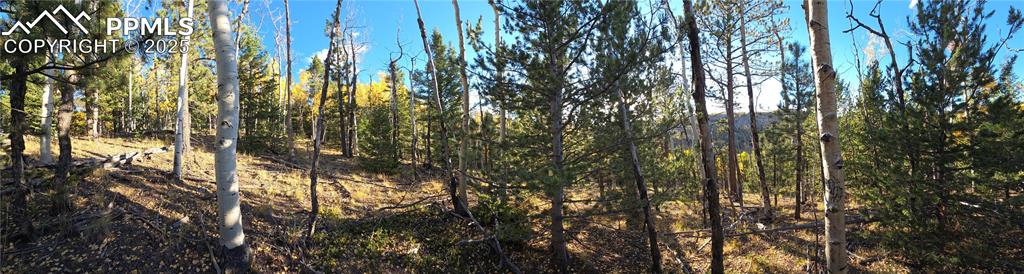 Image 24 of 31: View of wooded area