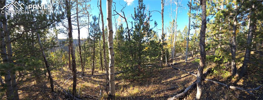Image 26 of 31: View of wooded area
