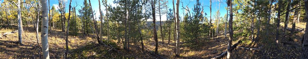 Image 27 of 31: View of wooded area