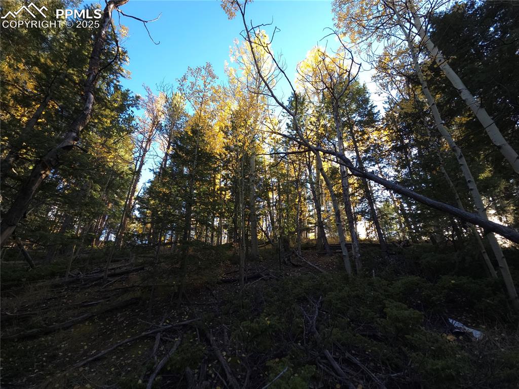 Image 30 of 31: View of undeveloped land