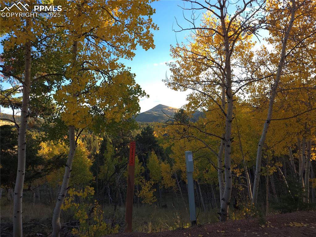 Image 4 of 31: View of mountain backdrop