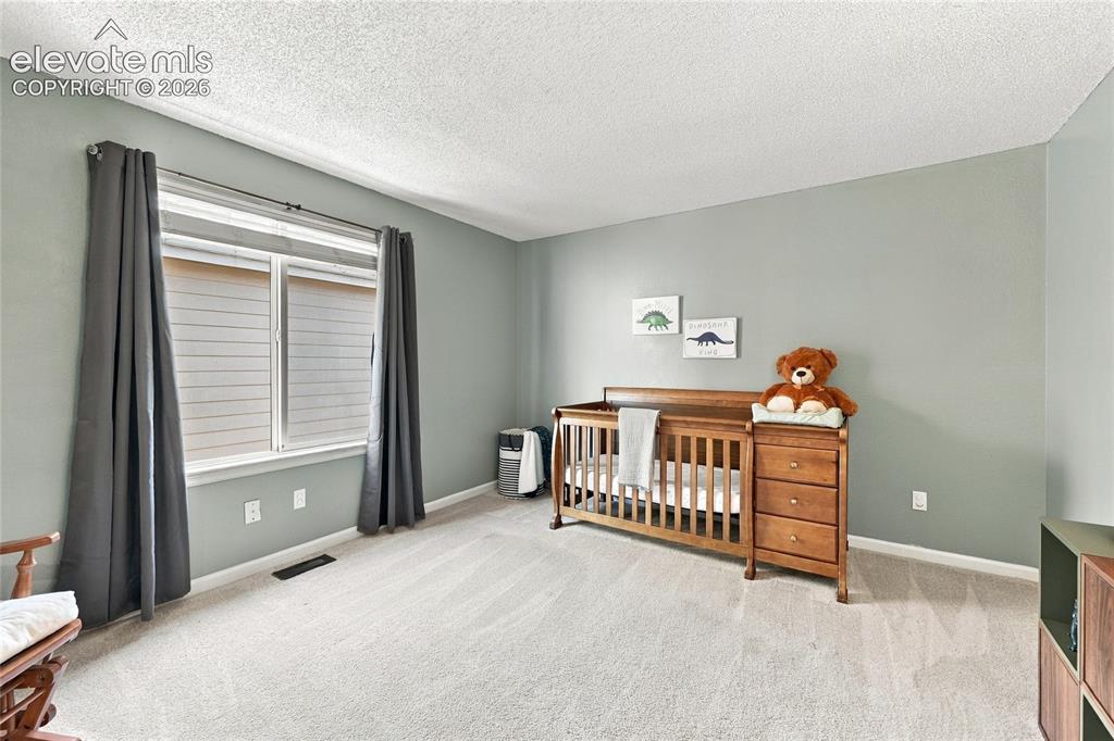 Image 25 of 45: Wall-to-wall carpeting with painted walls and a large window featuring blin