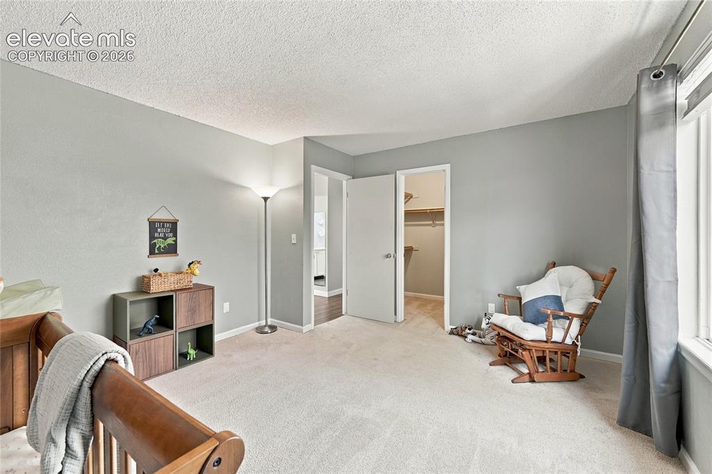 Image 26 of 45: Plush carpet flooring, light-toned walls, and a built-in closet with shelvi