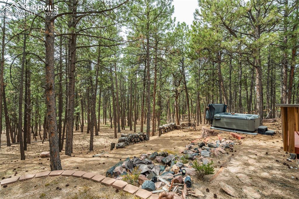 Image 33 of 50: View of backyard from rear patio