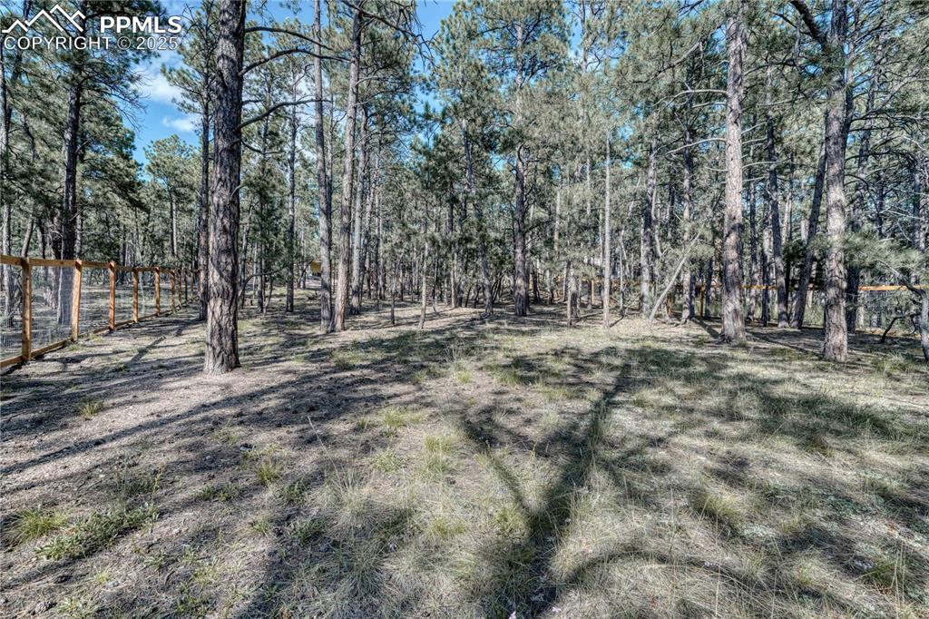 Image 46 of 50: Wooded yard surrounding the property
