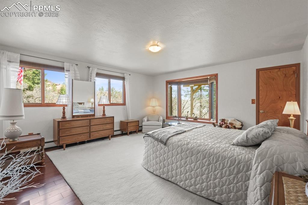 Image 36 of 49: Lower level secondary master suite featuring a bay window and large walk-in
