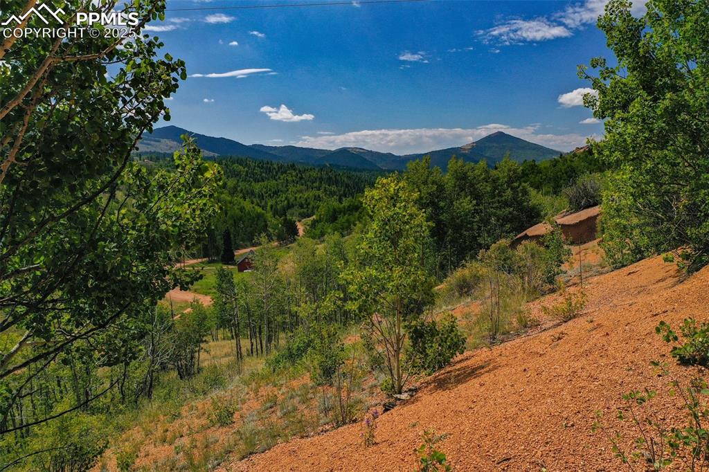 Image 5 of 12: View
