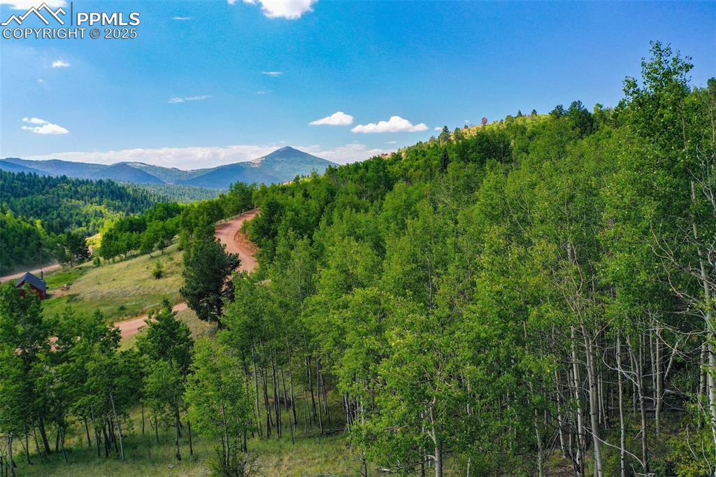 Image 8 of 12: View