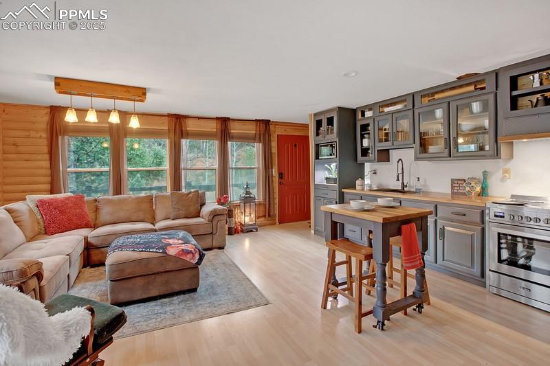 Image 13 of 27: Living area with healthy amount of natural light, light wood-style floors,