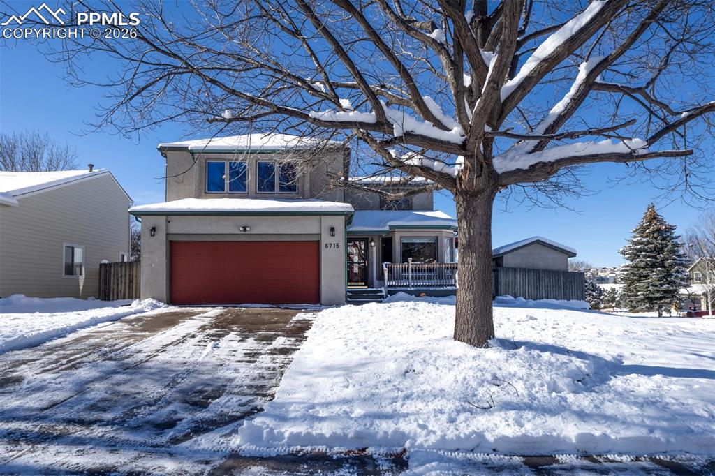 Image 2 of 38: Mature Trees