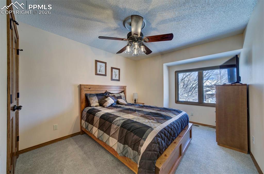 Image 25 of 38: Newly carpeted bedroom with closet