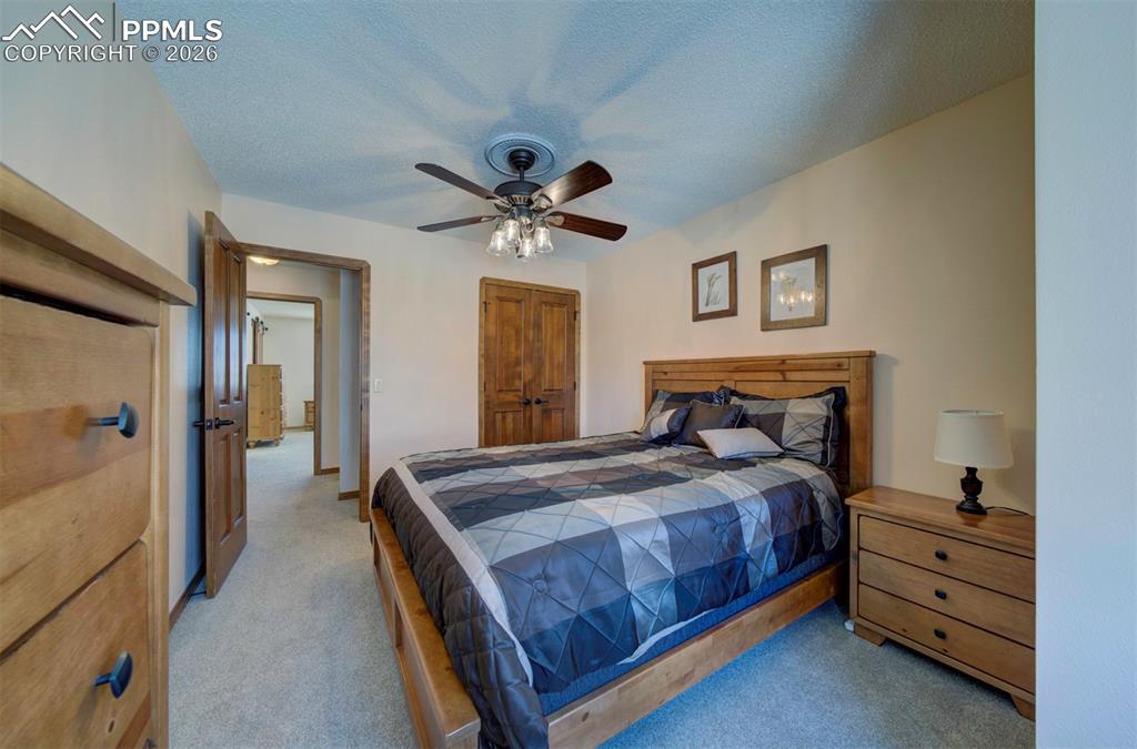 Image 26 of 38: Newly carpeted bedroom with closet