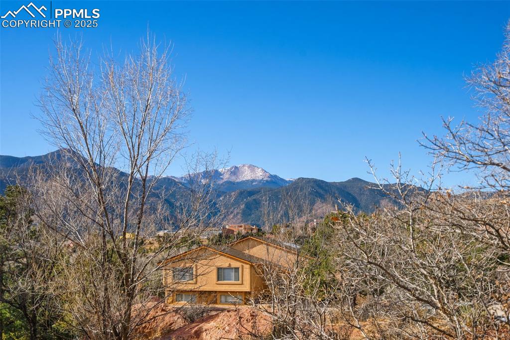 Image 35 of 46: View from the yard